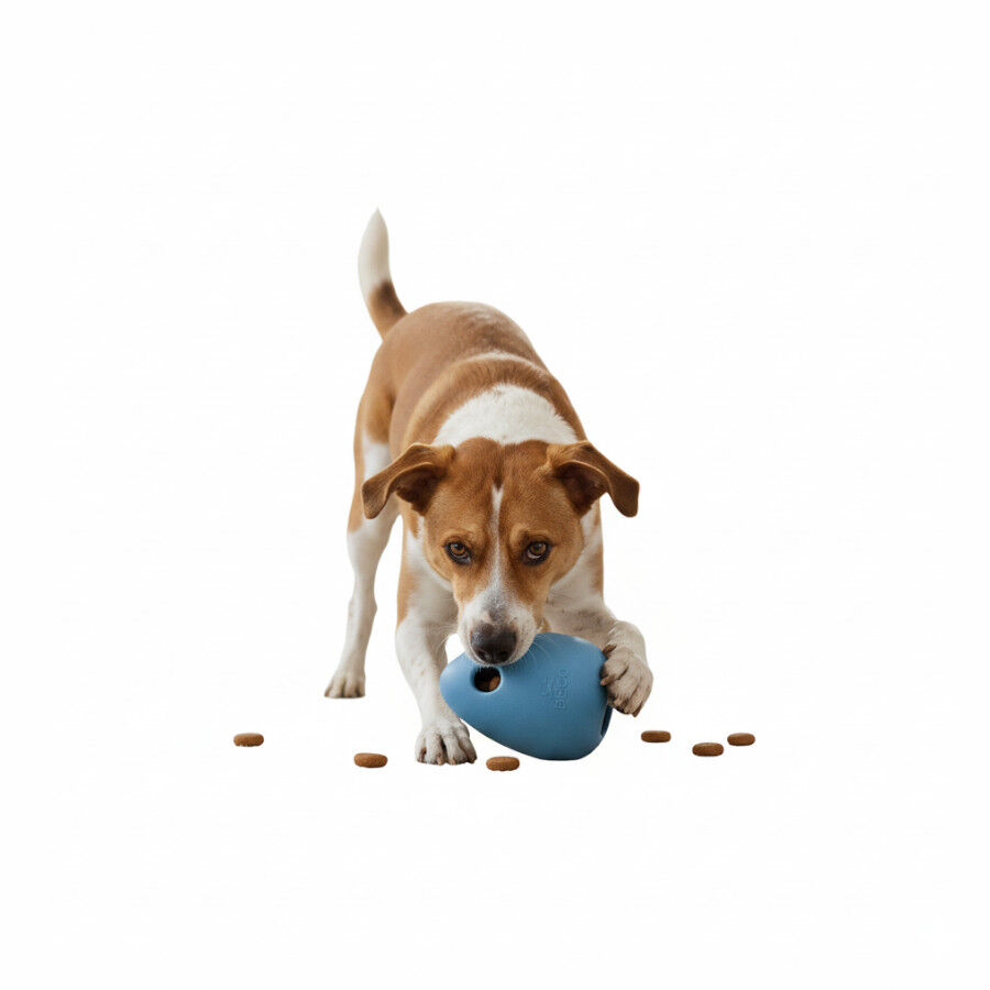 BECO Portagolosinas de Goma Azul para perros