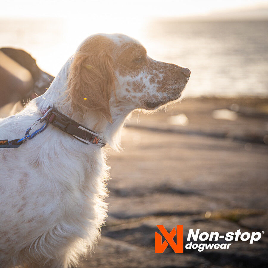 Non-stop dogwear Roam Collar P&uacute;rpura para perros, , large indicador imagen numero 2