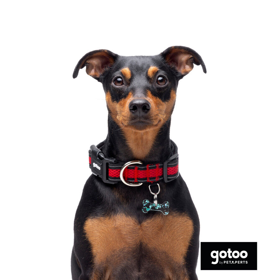 Gotoo Collar de malla transpirable rojo para perros, , large indicador imagen numero 6