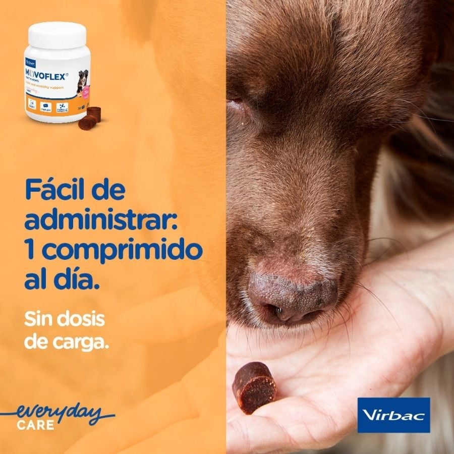 Virbac Movoflex Condroprotector para perros, , large indicador imagen numero 10