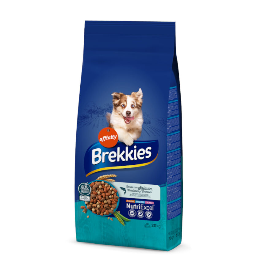 Affinity Brekkies Salm&oacute;n pienso para perros