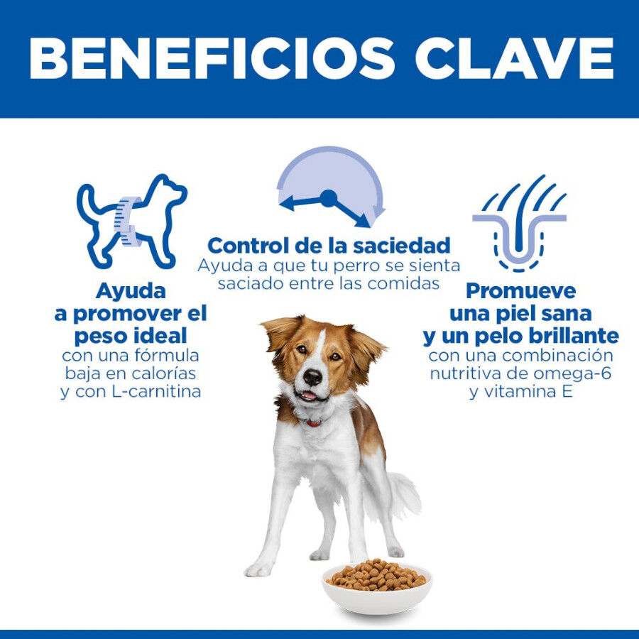 14 kg Hill's Science Plan Adult Light Medium Pollo pienso para perros, , large Imagen numero 5