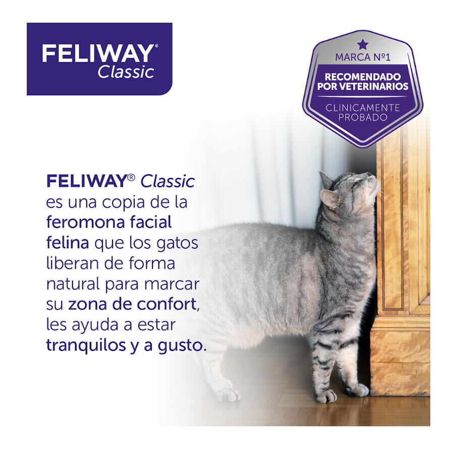 Feliway Classic Difusor y/o Recambio Tranquilizante para gatos, , large Imagen numero 10