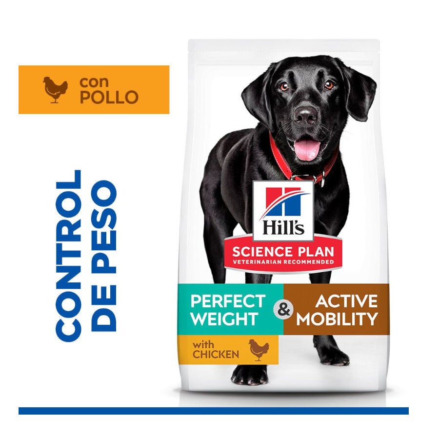 12 kg Hill's Science Plan Perfect weight y Active Mobility pollo pienso para perros grandes, , large indicador imagen numero 2