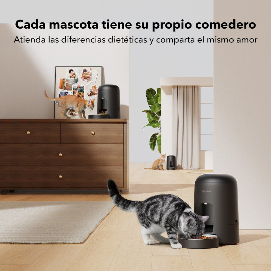 Petlibro Air Comedero autom&aacute;tico para perros y gatos, , large indicador imagen numero 5