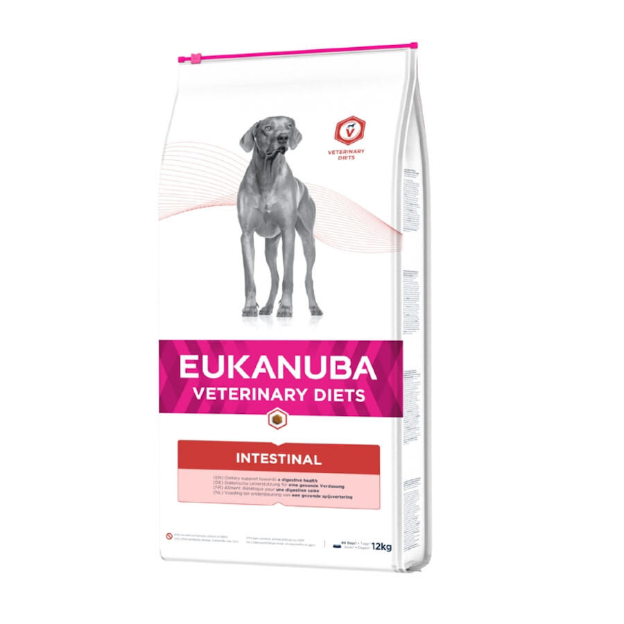 12 kg Eukanuba Veterinary Diets Intestinal pienso para perros, , large indicador imagen numero 1