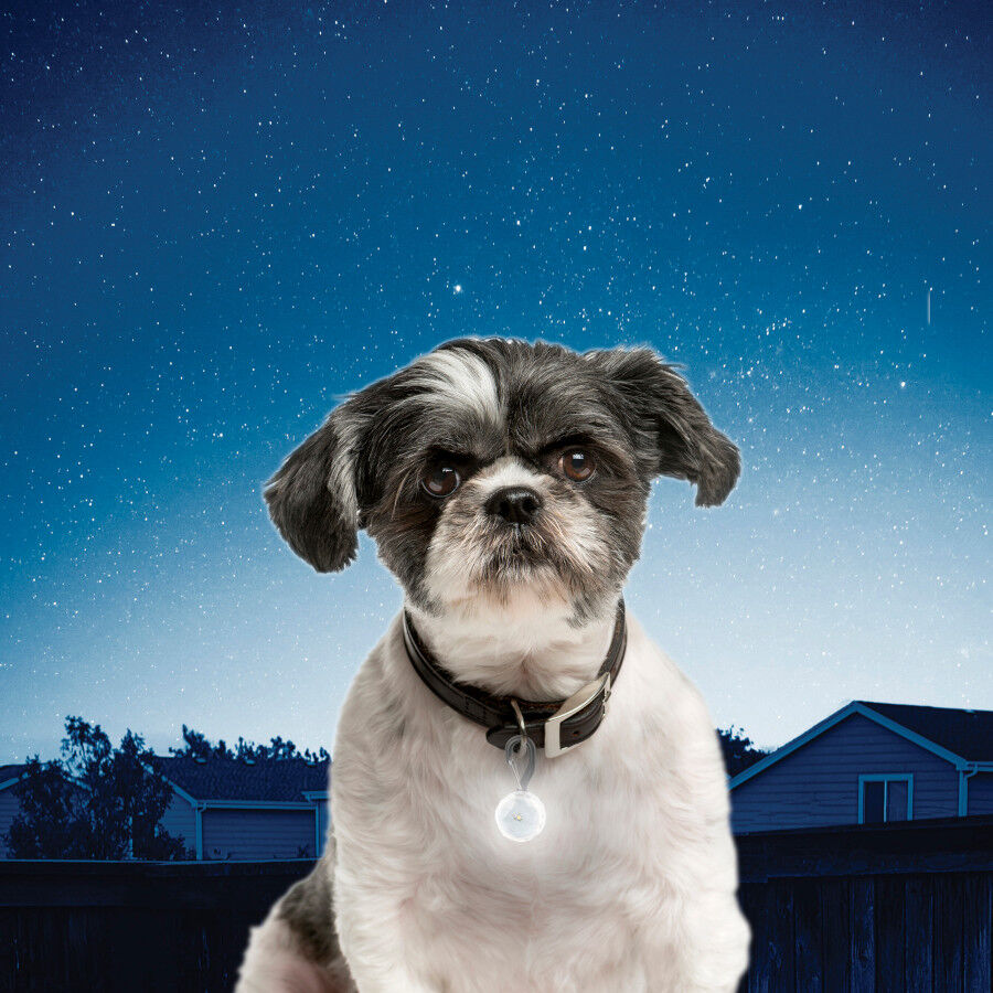Nite Ize PetLit Luz LED Blanca con mosquet&oacute;n para collar para perros, , large indicador imagen numero 2