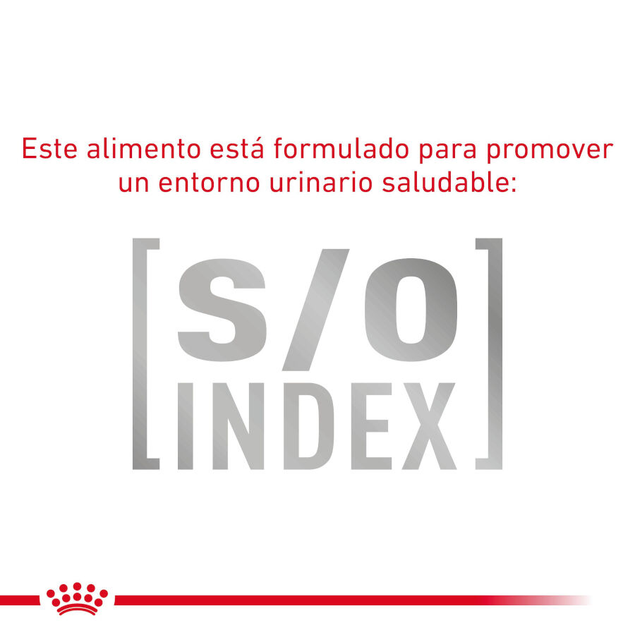 12 sobres x 85 g Royal Canin Gastrointestinal Fibre Response L&aacute;minas en Salsa Sobre para gatos, , large indicador imagen numero 5
