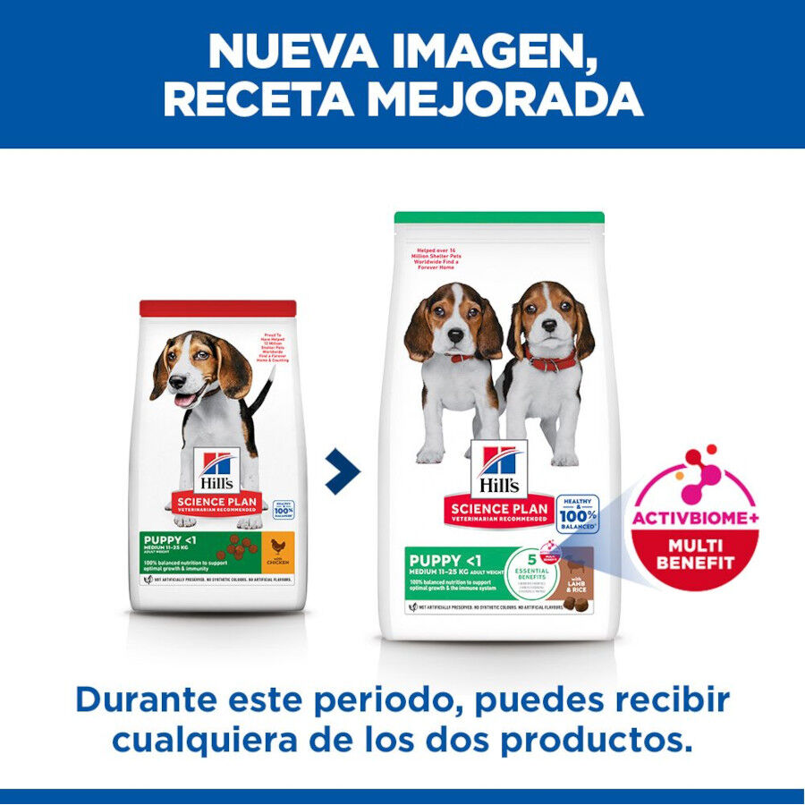14 kg Hill's Science Plan Puppy Medium Cordero y arroz Pienso para perros, , large indicador imagen numero 3