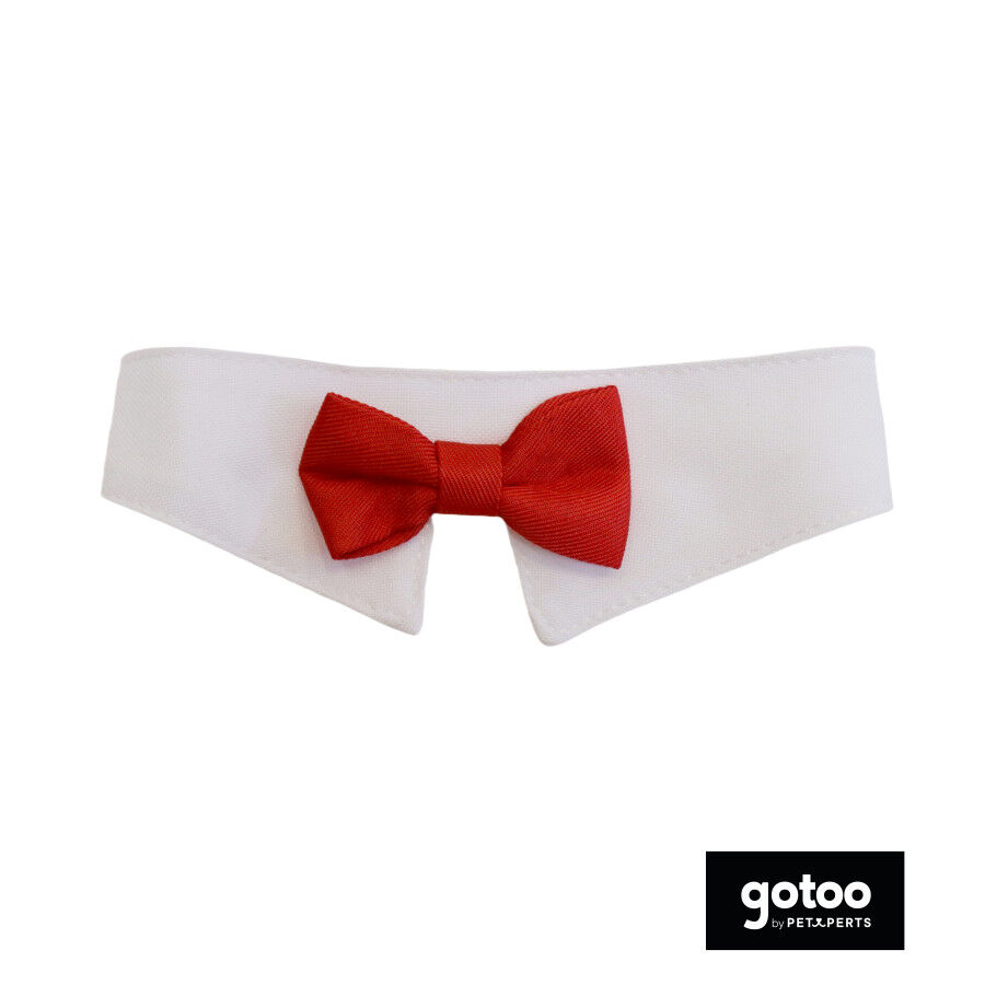 Gotoo Pajarita roja para gatos, , large indicador imagen numero 2
