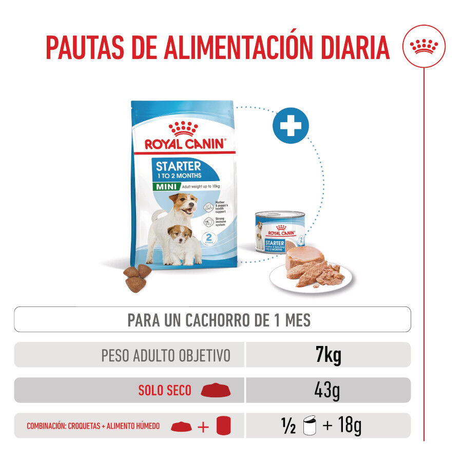 4 kg Royal Canin Starter MotheryBaby Mini pienso para perros, , large indicador imagen numero 8