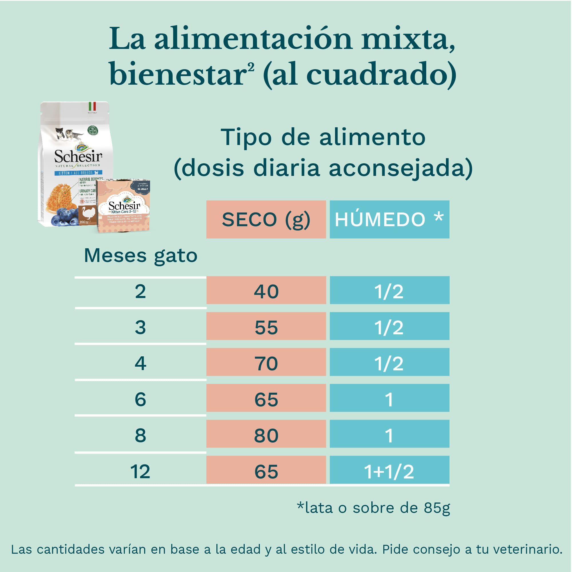 85 g Schesir Kitten pollo con aloe latas para gatos&nbsp;, , large indicador imagen numero 6