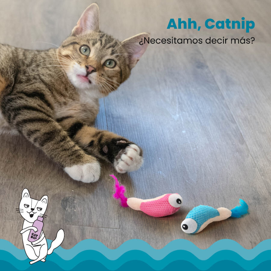 Catstages Dental Shrimpies Peluches con Plumas para gatos, , large Imagen numero 5