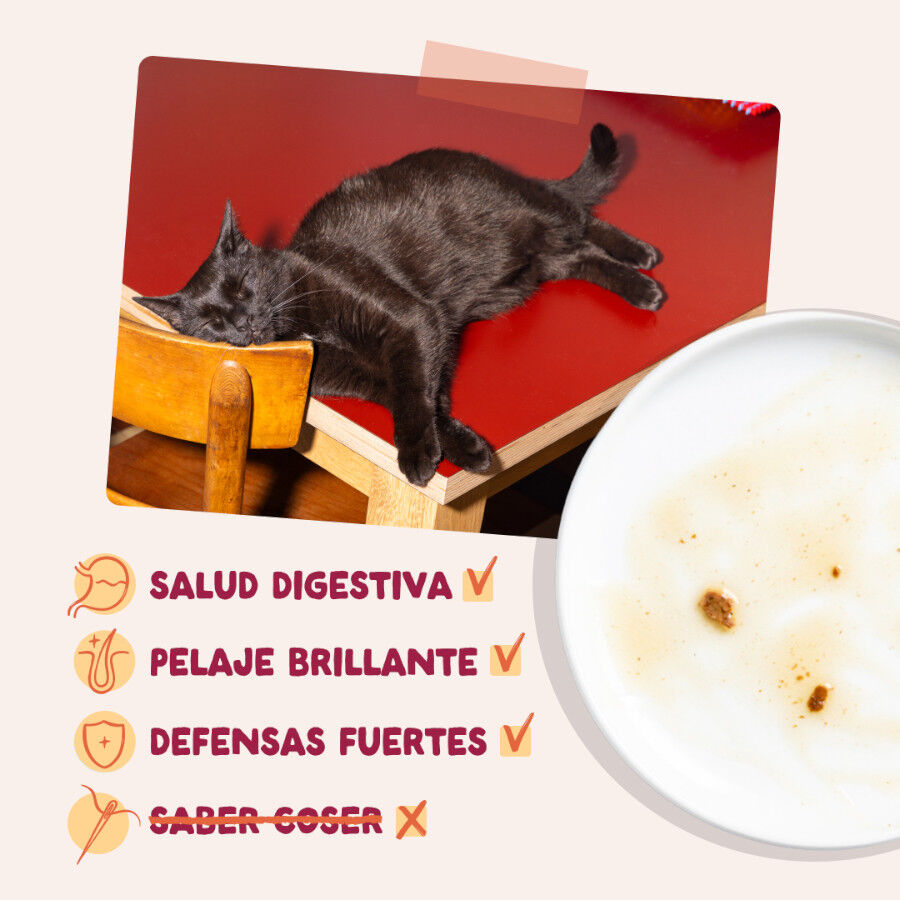85 g Edgard & Cooper Pollo sobre en salsa para gatos, , large Imagen numero 4