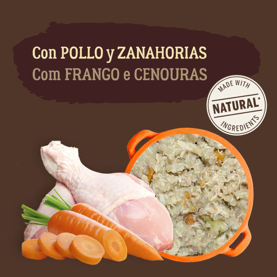 300 g True Origins Pure Gently Coocked Pollo sobre para perros, , large Imagen numero 4