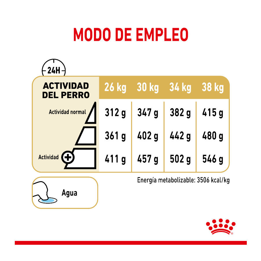 12 kg Royal Canin Adult 5+ Labrador pienso para perros, , large indicador imagen numero 6