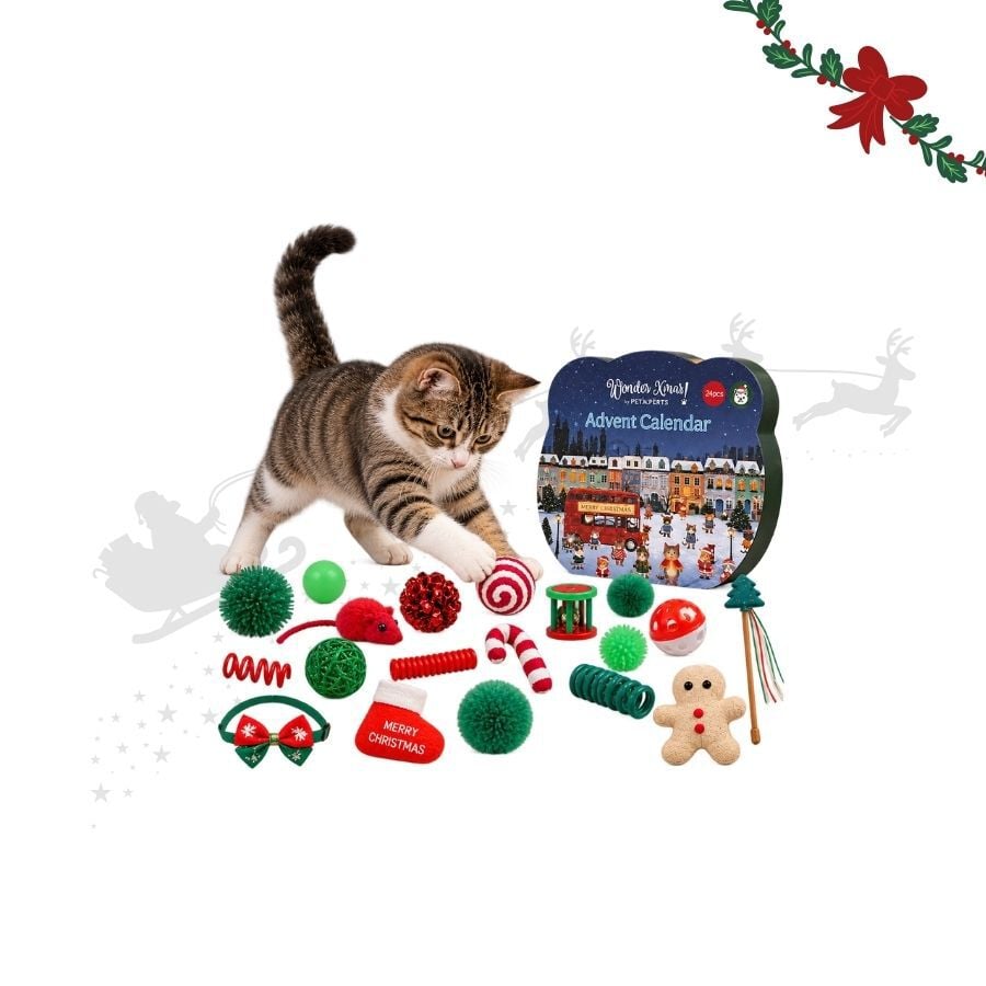 Wonder Christmas Calendario Adviento Premium Juguete para gatos, , large indicador imagen numero 1