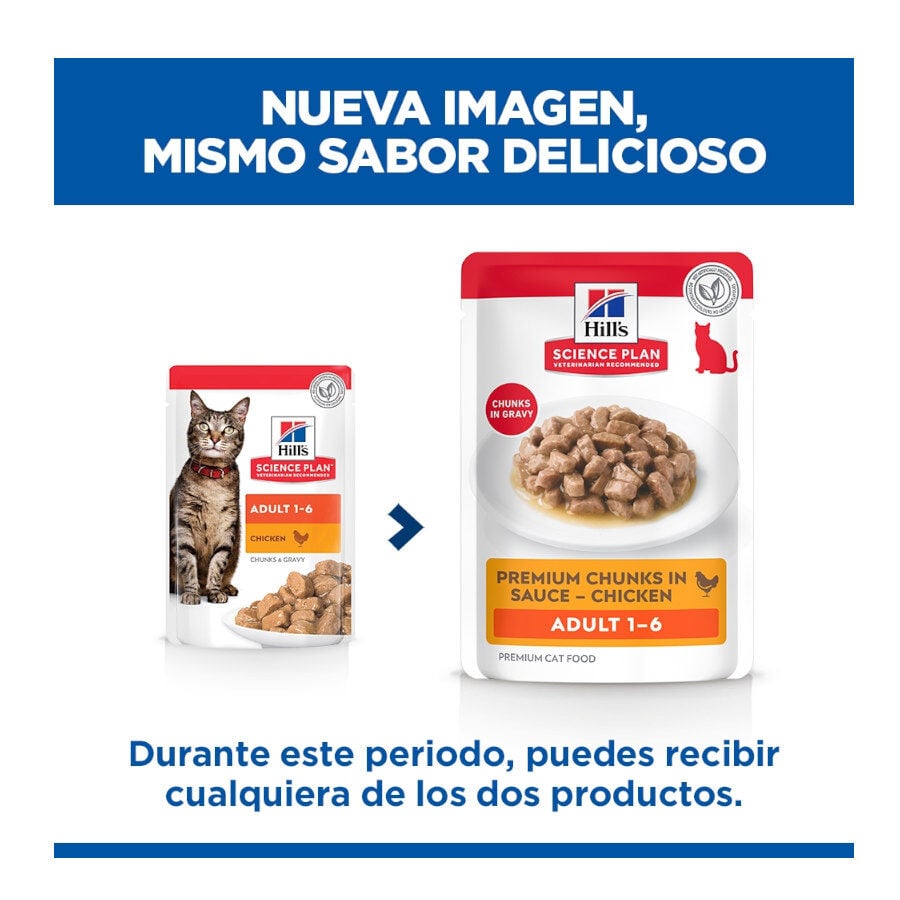 85 g Hill's Science Plan Adult Pollo sobre para gatos, , large Imagen numero 3