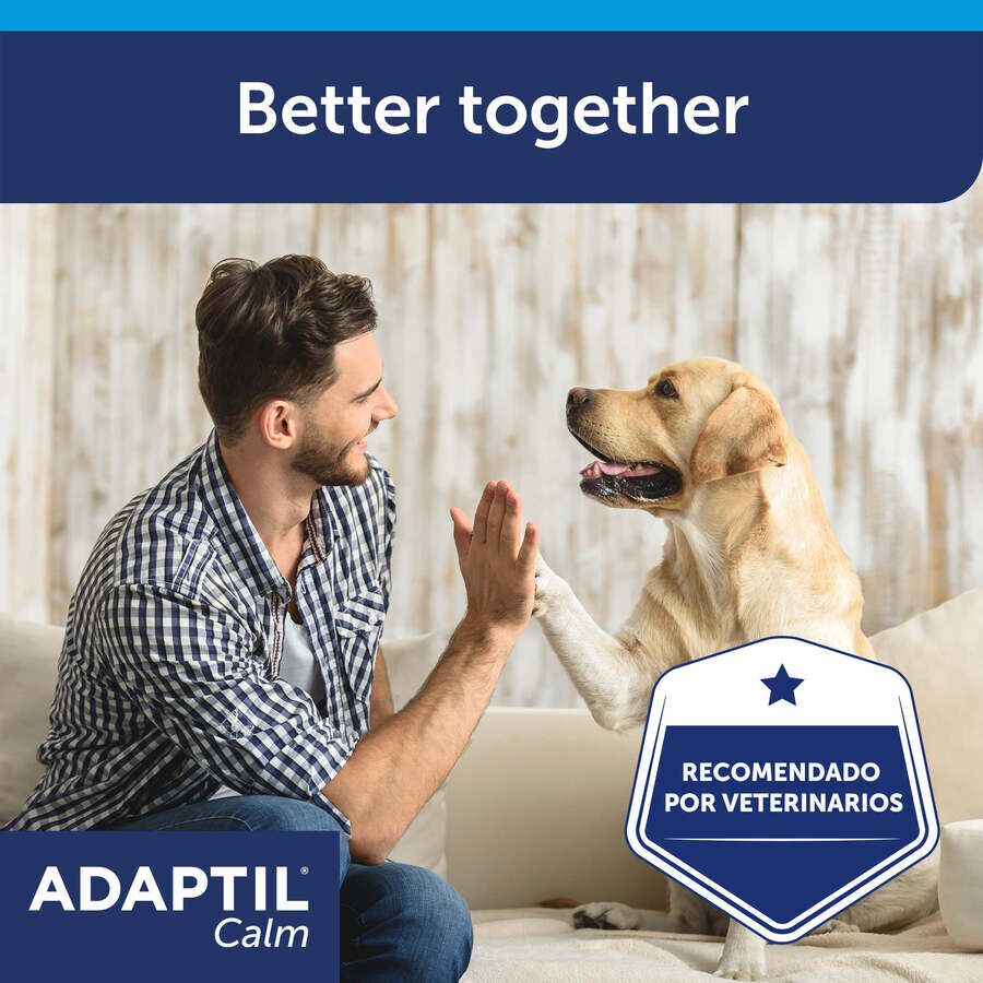 Adaptil Collar Tranquilizante para perros, , large Imagen numero 6