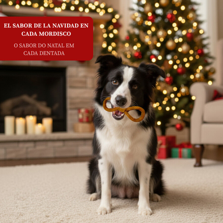 130 g Wonder Christmas Churro de Lazo para perros, , large indicador imagen numero 4