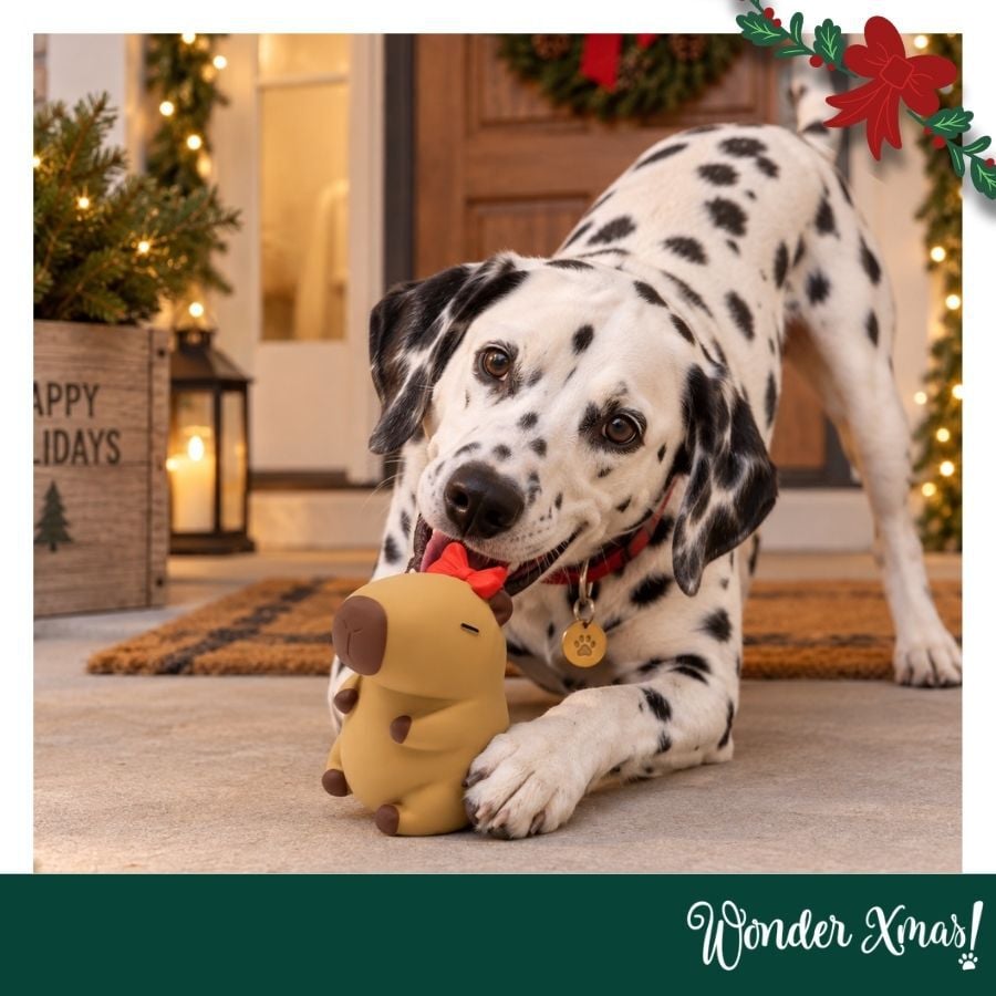 Wonder Christmas Capibara L&aacute;tex Peluche para perros, , large indicador imagen numero 2