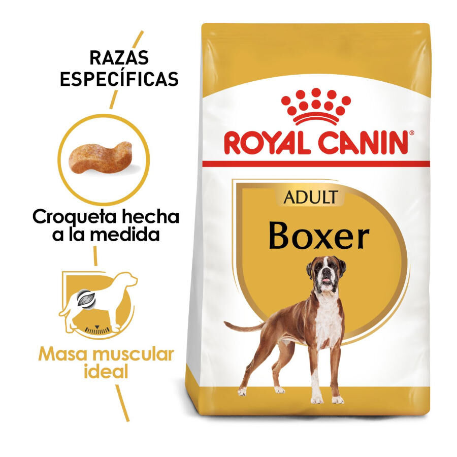12 kg Royal Canin Adult Boxer pienso para perros, , large Imagen numero 2
