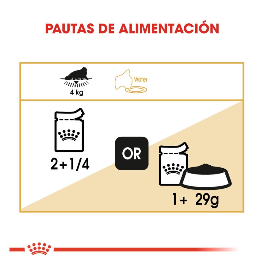 85 g Royal Canin Feline Persian Adult sobres para gatos, , large Imagen numero 6
