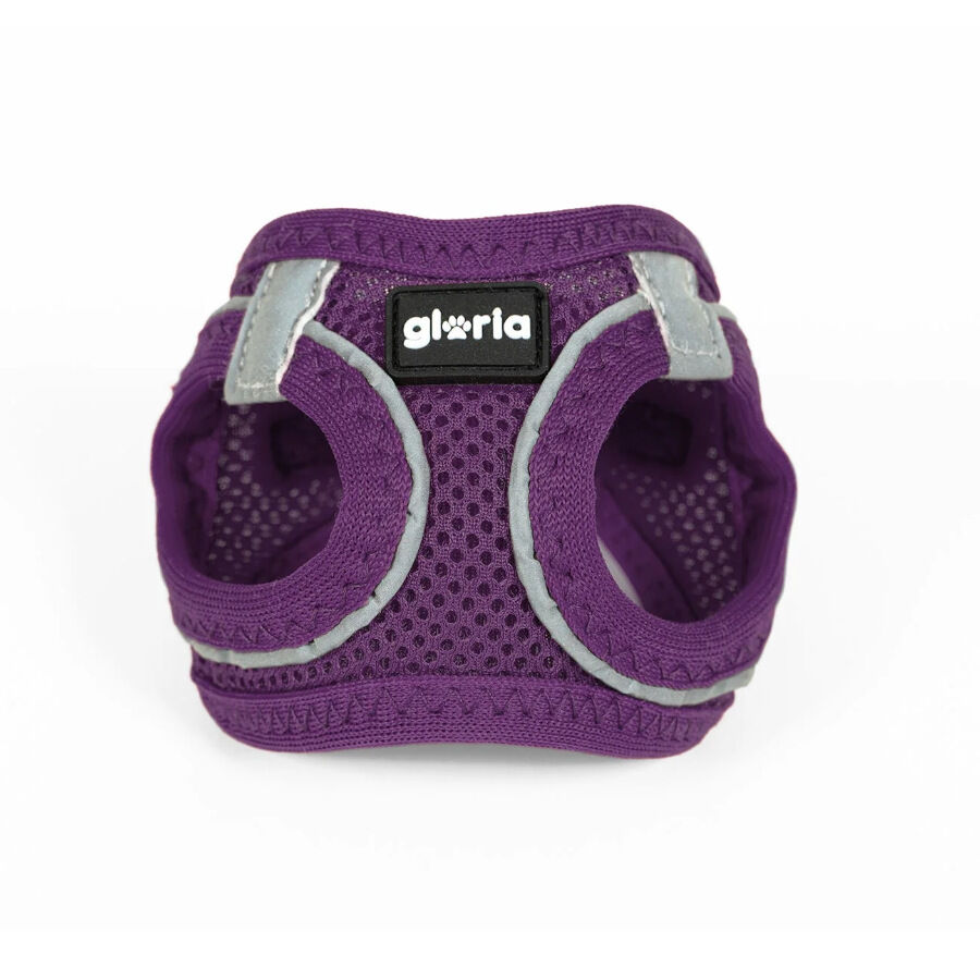 Gloria Air Mesh Trek Star Arn&eacute;s Morado para perros, , large Imagen numero 1