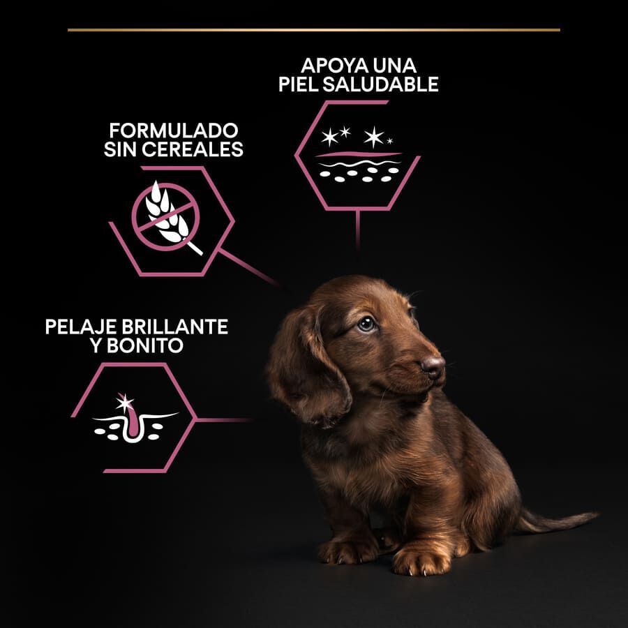3 kg Pro Plan Puppy Small y Mini Salm&oacute;n pienso para Perros Piel, , large indicador imagen numero 3