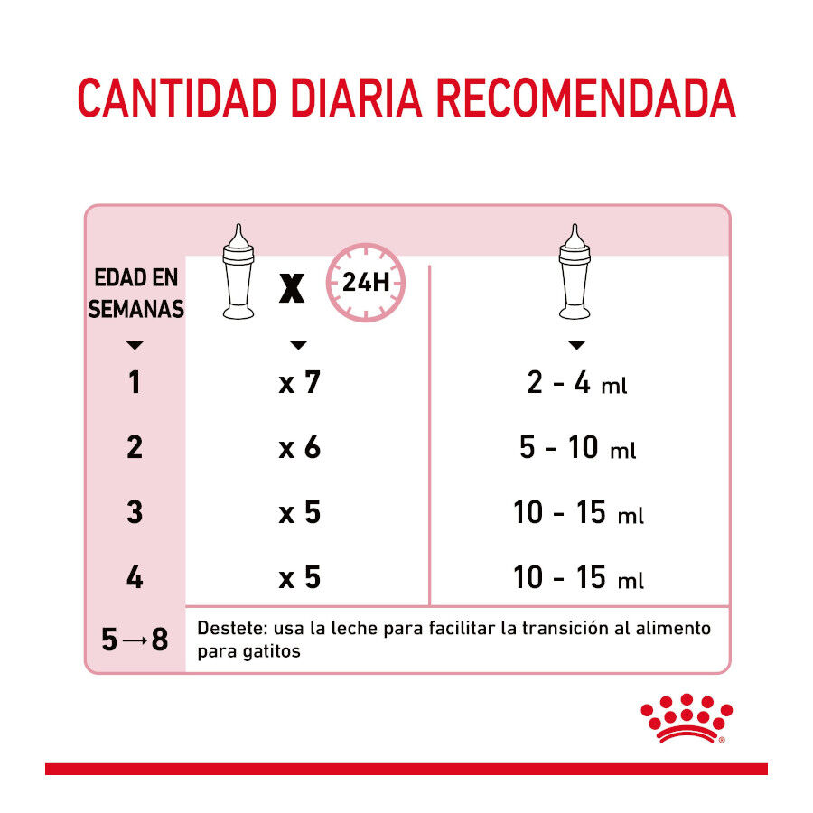 300 g Royal Canin Leche para gatitos primer a&ntilde;o, , large indicador imagen numero 8