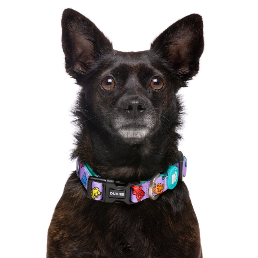 Dukier Gummy Bears collar para perros, , large indicador imagen numero 2