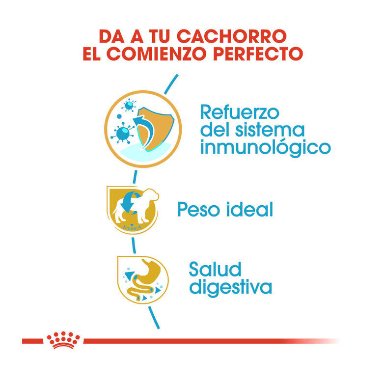 1.5 kg Royal Canin Puppy Miniature Schnauzer pienso para perros, , large indicador imagen numero 7