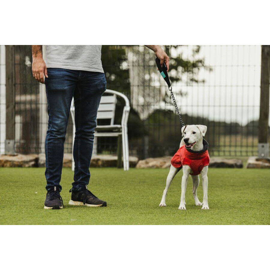 Freedog Oymyakon Rojo Abrigo Impermeable con Arn&eacute;s para perros, , large indicador imagen numero 3