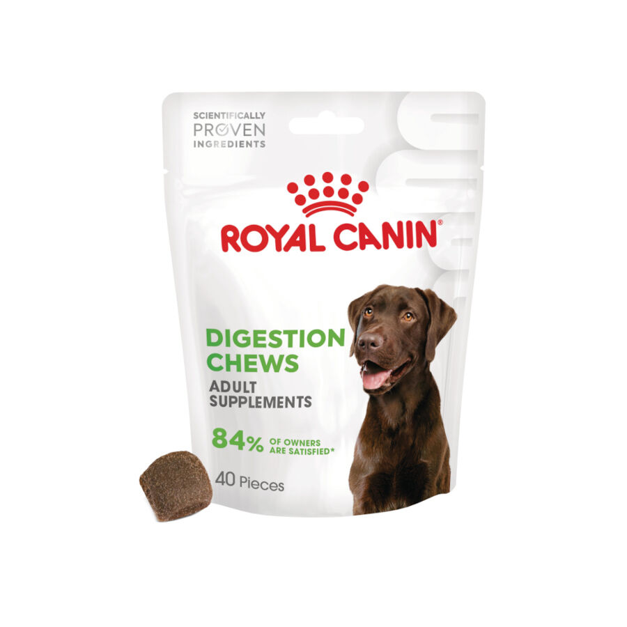 160 g Royal Canin Digestion Chews Suplemento Nutricional para perros con sensibilidad, , large indicador imagen numero 1
