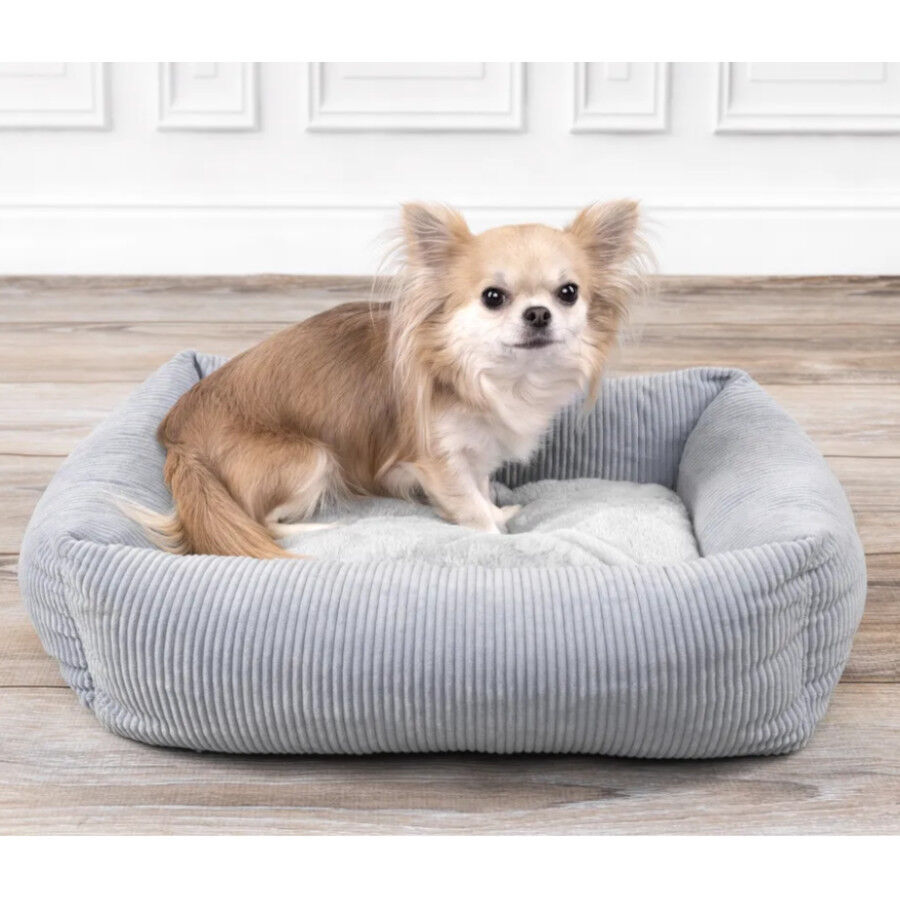 Flamingo Colette Rect&aacute;ngulo Azul cama cuna para perros, , large indicador imagen numero 6