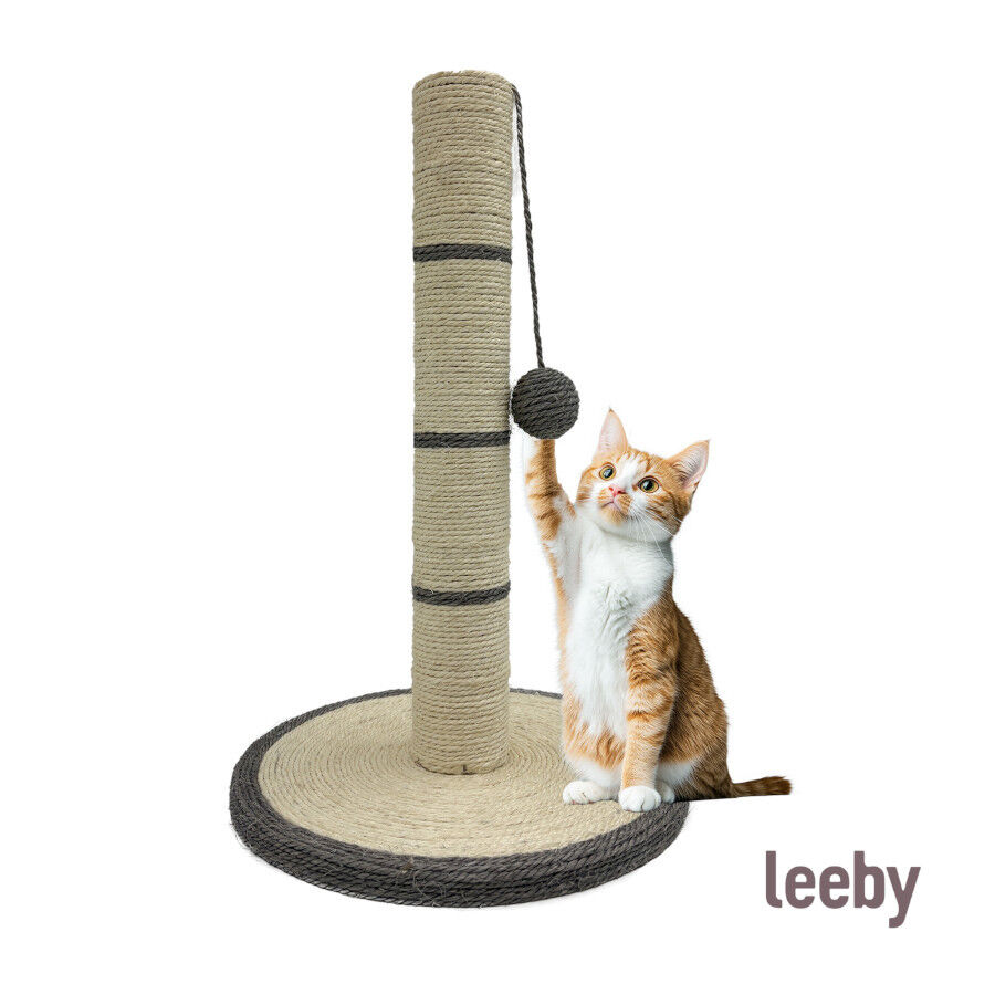 Leeby Isidoro rascador de sisal con juguete gris para gatos, , large Imagen numero 2