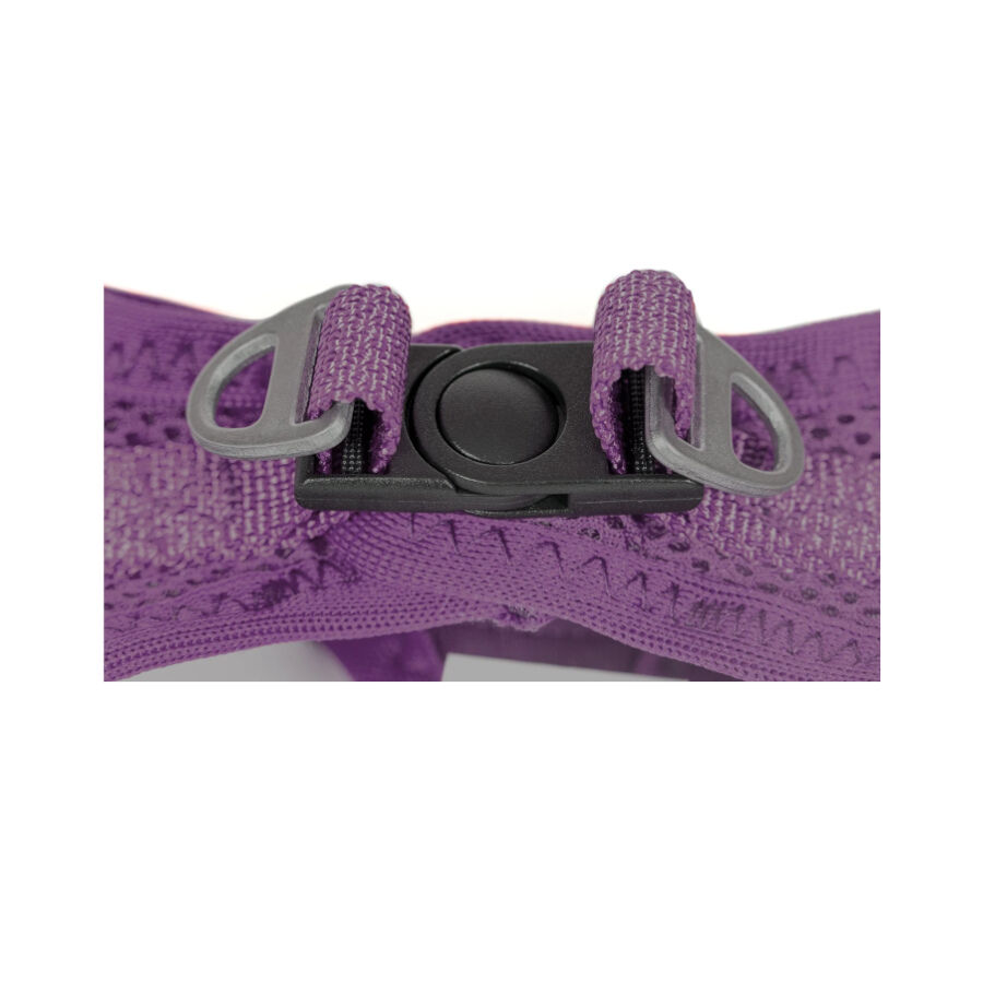 Gloria Air Mesh Trek Star Arn&eacute;s Morado para perros, , large Imagen numero 4