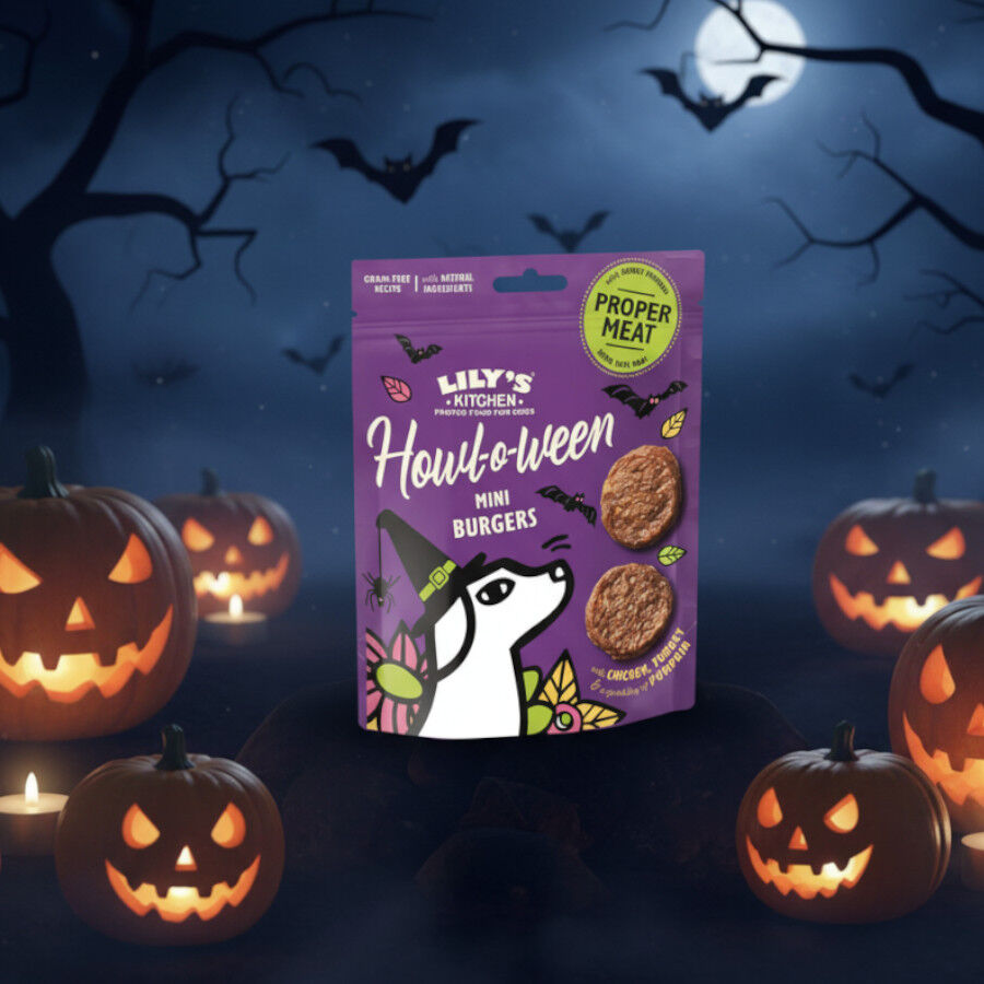 Lily's Kitchen Mini Hamburguesas Pollo Halloween para perros, , large indicador imagen numero 2