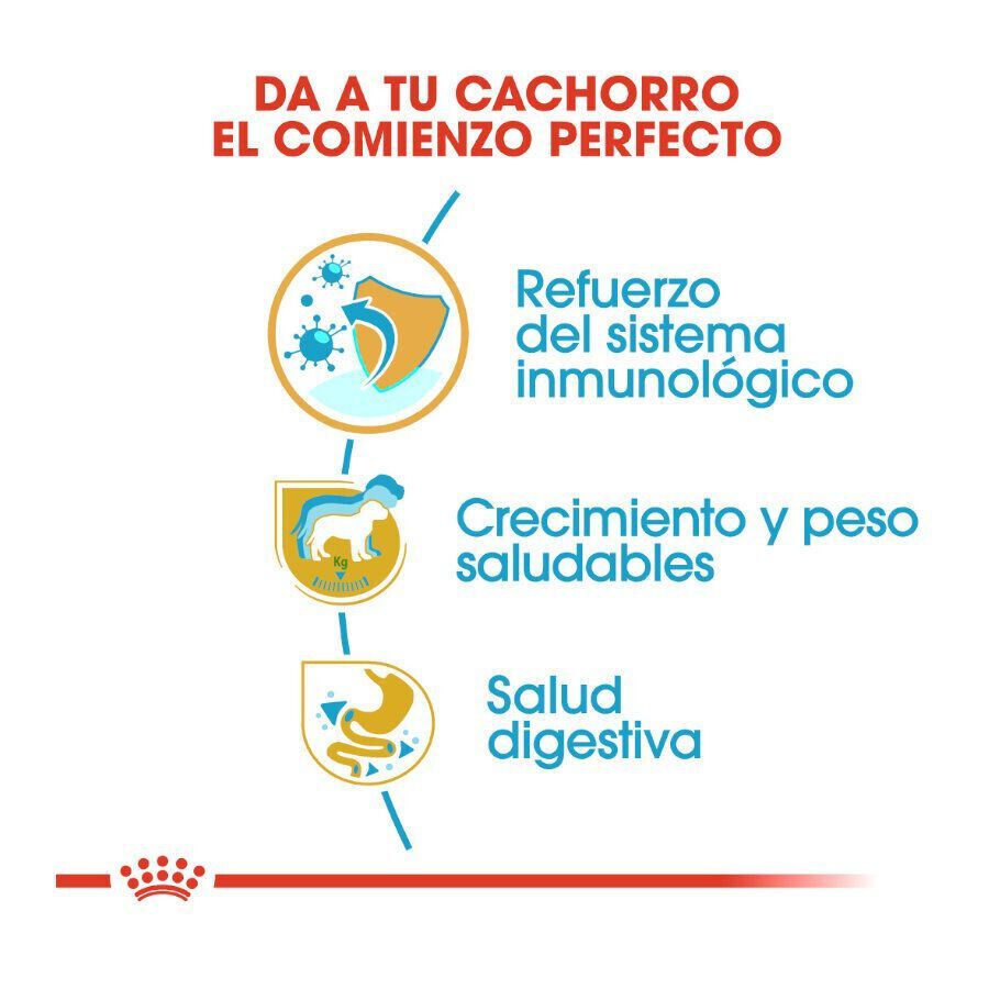 12 kg Royal Canin Puppy Labrador Retriever pienso para perros, , large indicador imagen numero 6