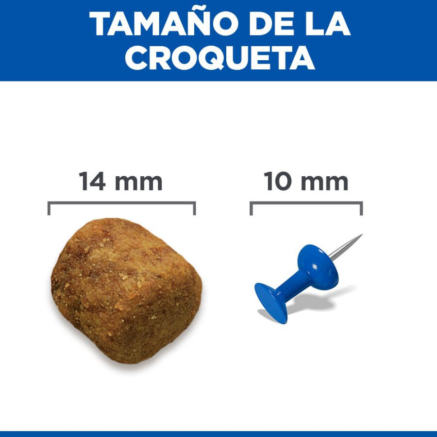 14 kg Hill's Science Plan Adult Large Cordero pienso para perros, , large indicador imagen numero 9
