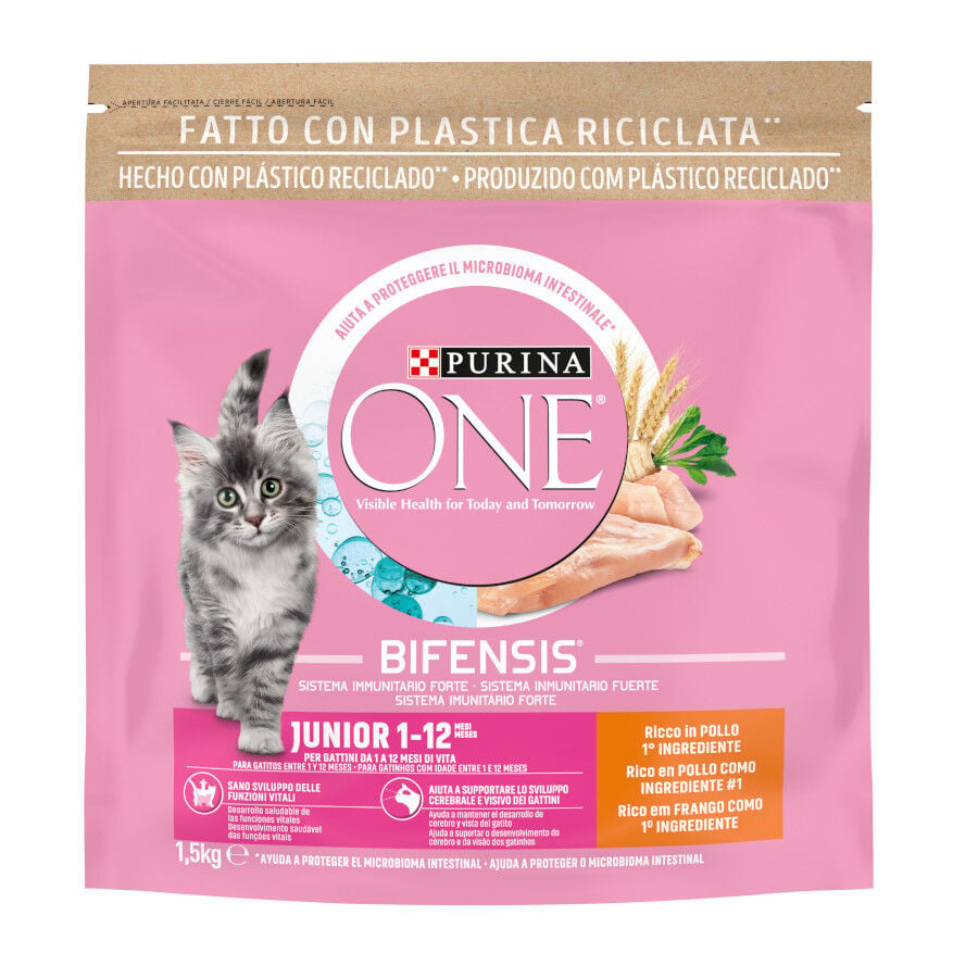 1.5 kg Purina One Junior Bifensis Pollo pienso para gatos, , large indicador imagen numero 1