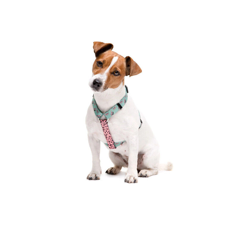 Dukier Cl&aacute;sico Arn&eacute;s Estampado Leopardo para perros, , large Imagen numero 2