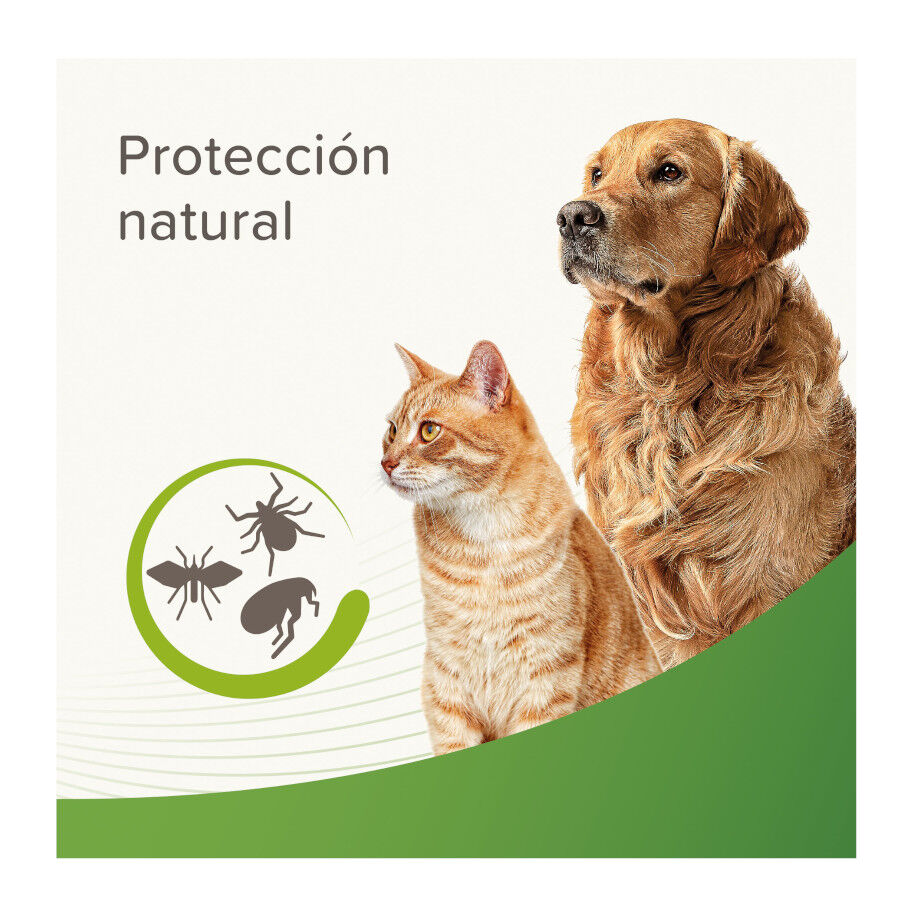 Beaphar Loci&oacute;n Repelente Perro y Gato, , large indicador imagen numero 5