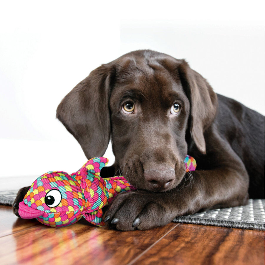 Kong Wubba Finz Pez Rosa juguete para perros, , large Imagen numero 2