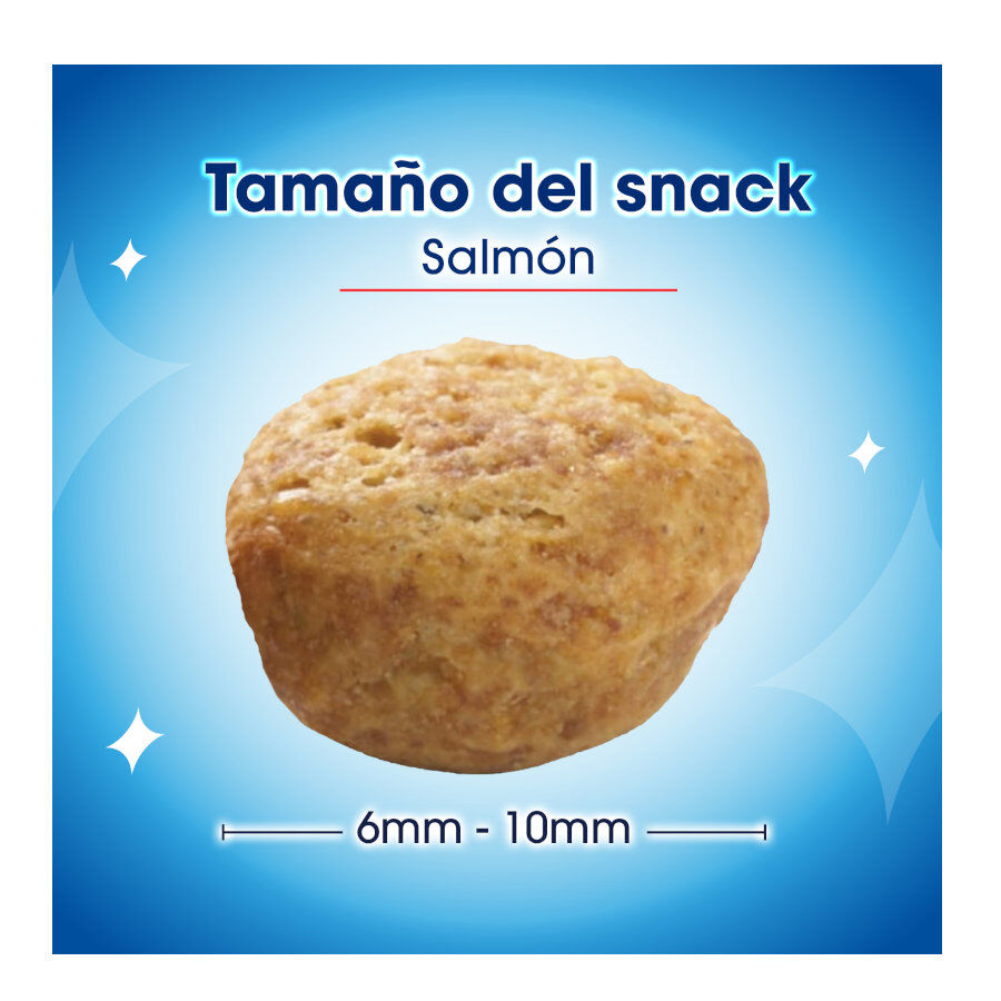 40 g Dentalife Daily Oral Salm&oacute;n Snacks Dentales para gatos, , large indicador imagen numero 5