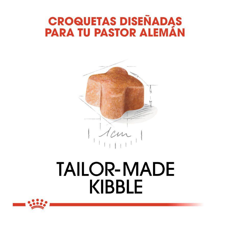 3 kg Royal Canin Puppy Pastor Alem&aacute;n pienso para perros, , large Imagen numero 5