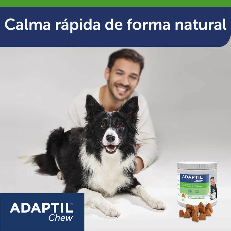 30 comprimidos Adaptil Chew Relajante en comprimidos para perros, , large indicador imagen numero 6