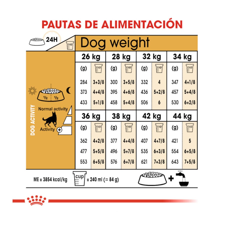 11 kg Royal Canin Adult Pastor Alem&aacute;n pienso para perros, , large Imagen numero 8