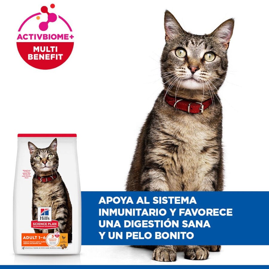 10 kg Hill's Science Plan Adult Pollo pienso para gatos, , large indicador imagen numero 3