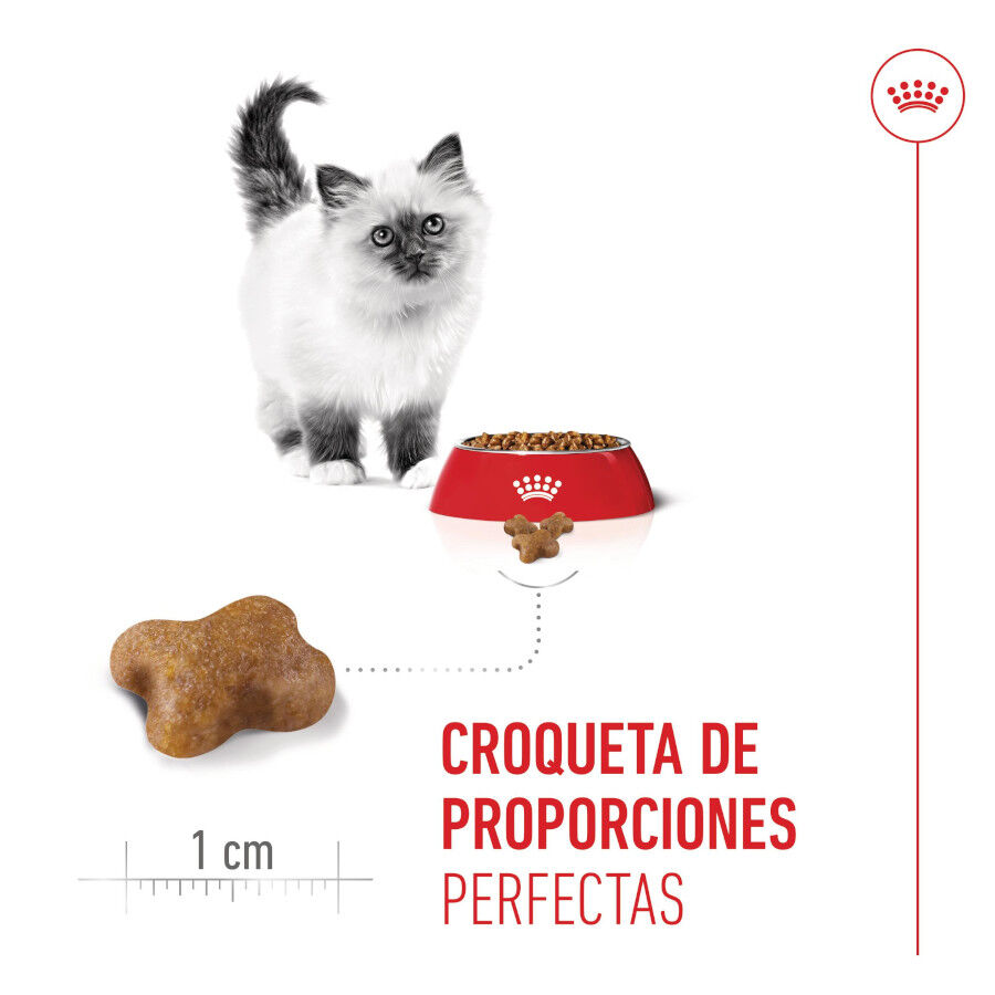 4 kg Royal Canin Kitten pienso para gatos, , large indicador imagen numero 12
